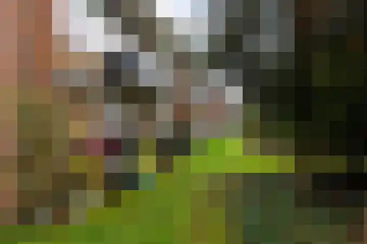 Moeflonstraat 9 Apeldoorn thumbnail 38