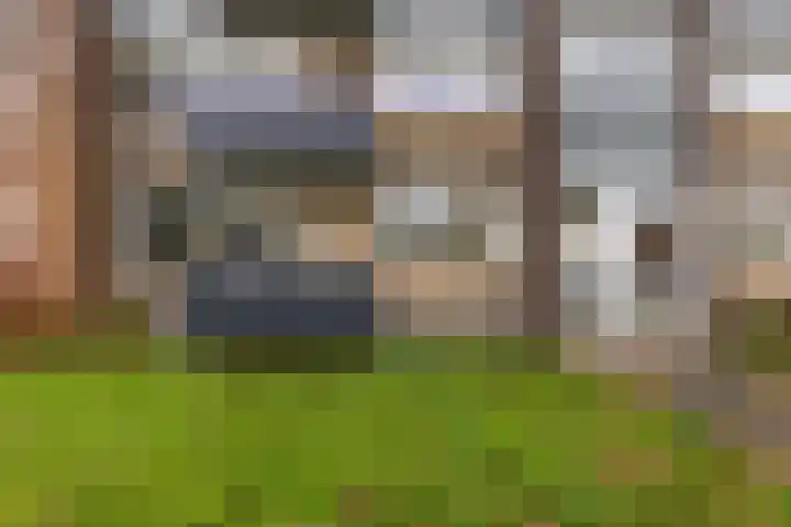 Moeflonstraat 9 Apeldoorn thumbnail 4