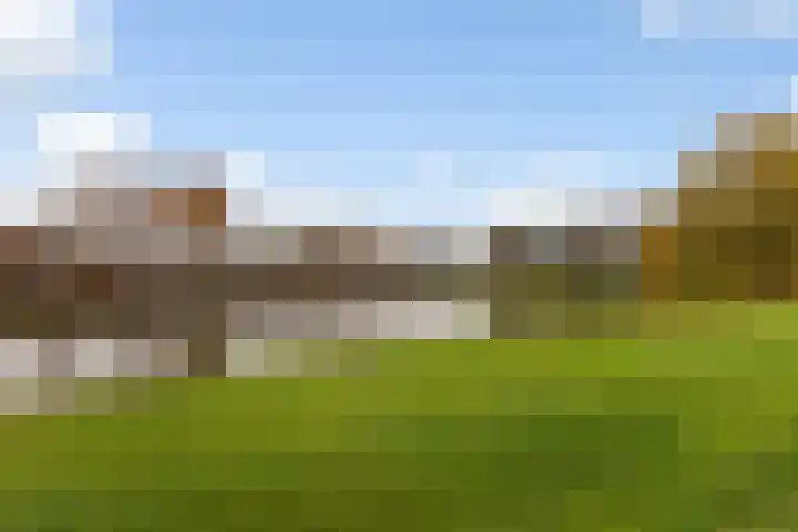 Moeflonstraat 9 Apeldoorn thumbnail 40