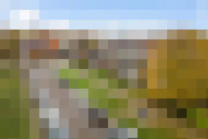 Moeflonstraat 9 Apeldoorn thumbnail 43