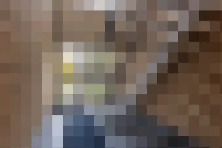 Moeflonstraat 9 Apeldoorn thumbnail 7