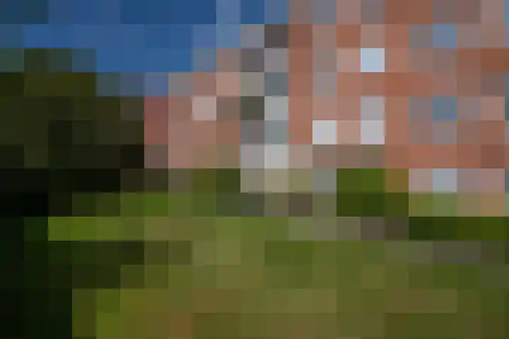 Moeflonstraat 95 Apeldoorn thumbnail 21