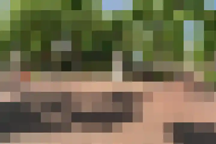 Moelenshof 4 Noordwijk thumbnail 22