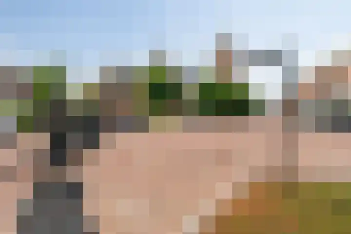Moelenshof 4 Noordwijk thumbnail 23