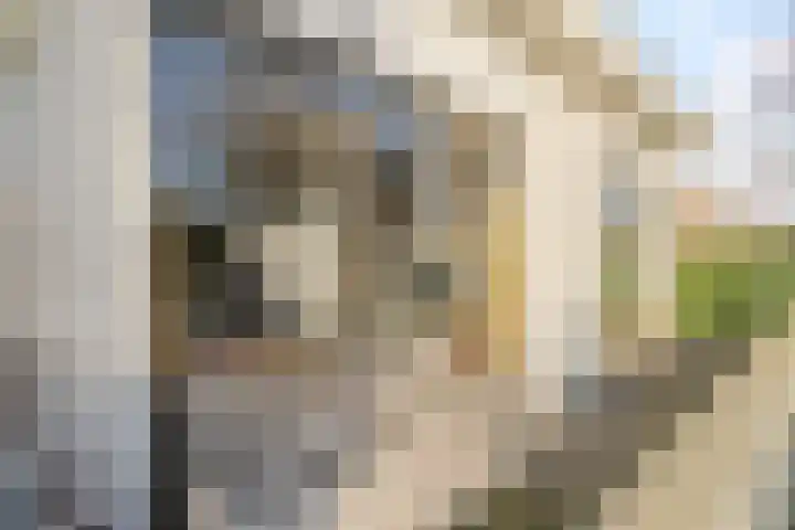 Moelenshof 4 Noordwijk thumbnail 8