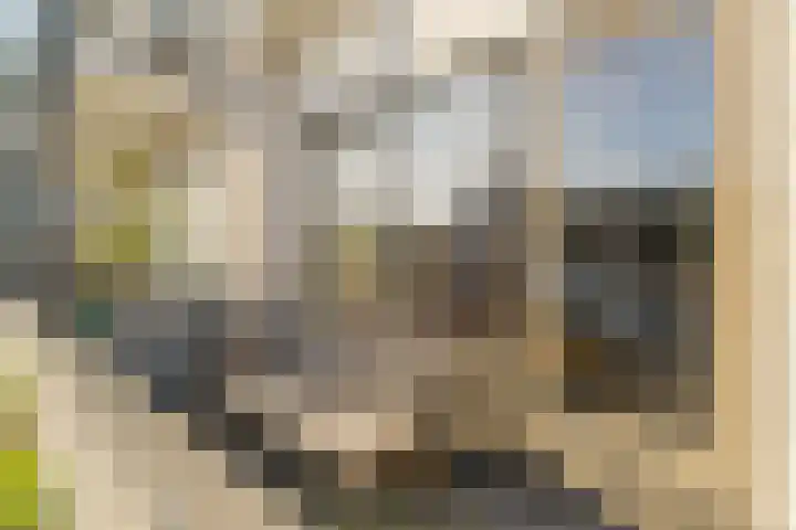 Moelenshof 4 Noordwijk thumbnail 9