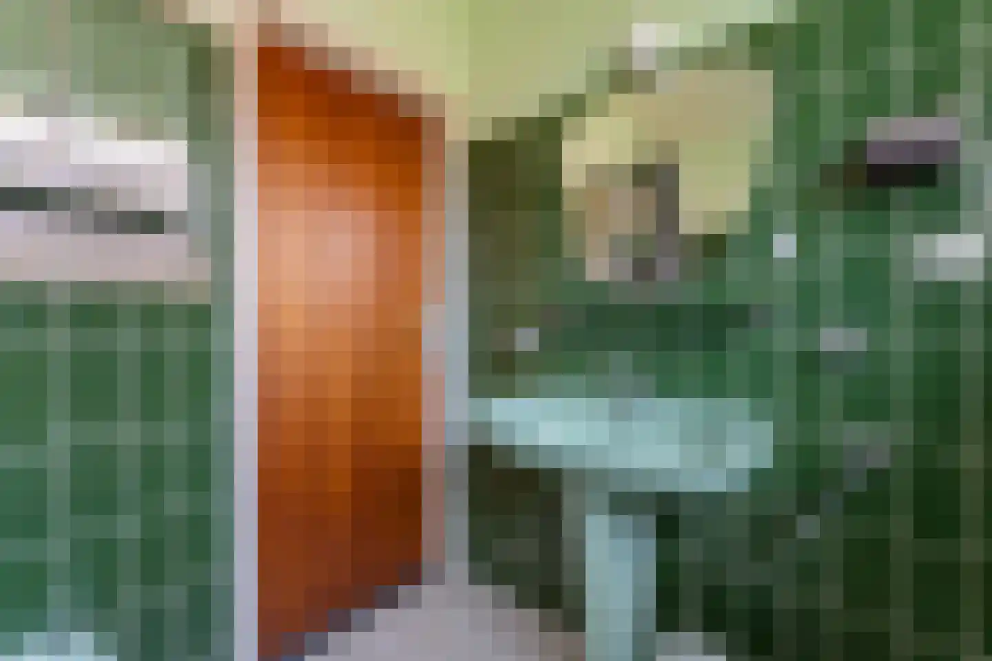Moelingerweg 13 Eijsden thumbnail 16