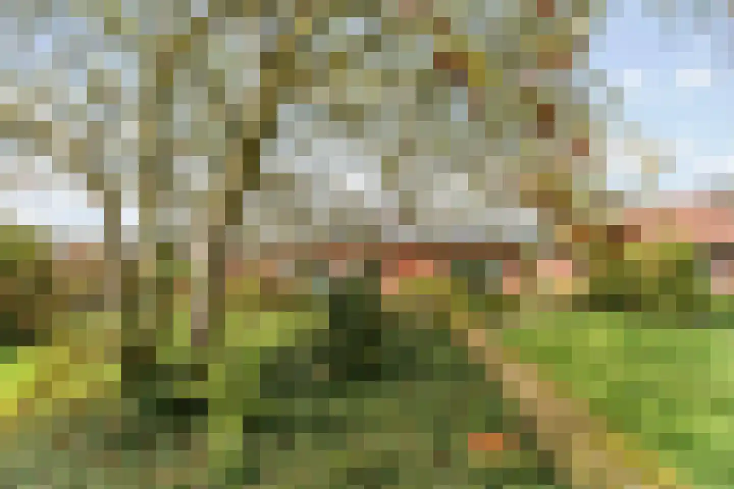 Moelingerweg 13 Eijsden thumbnail 19