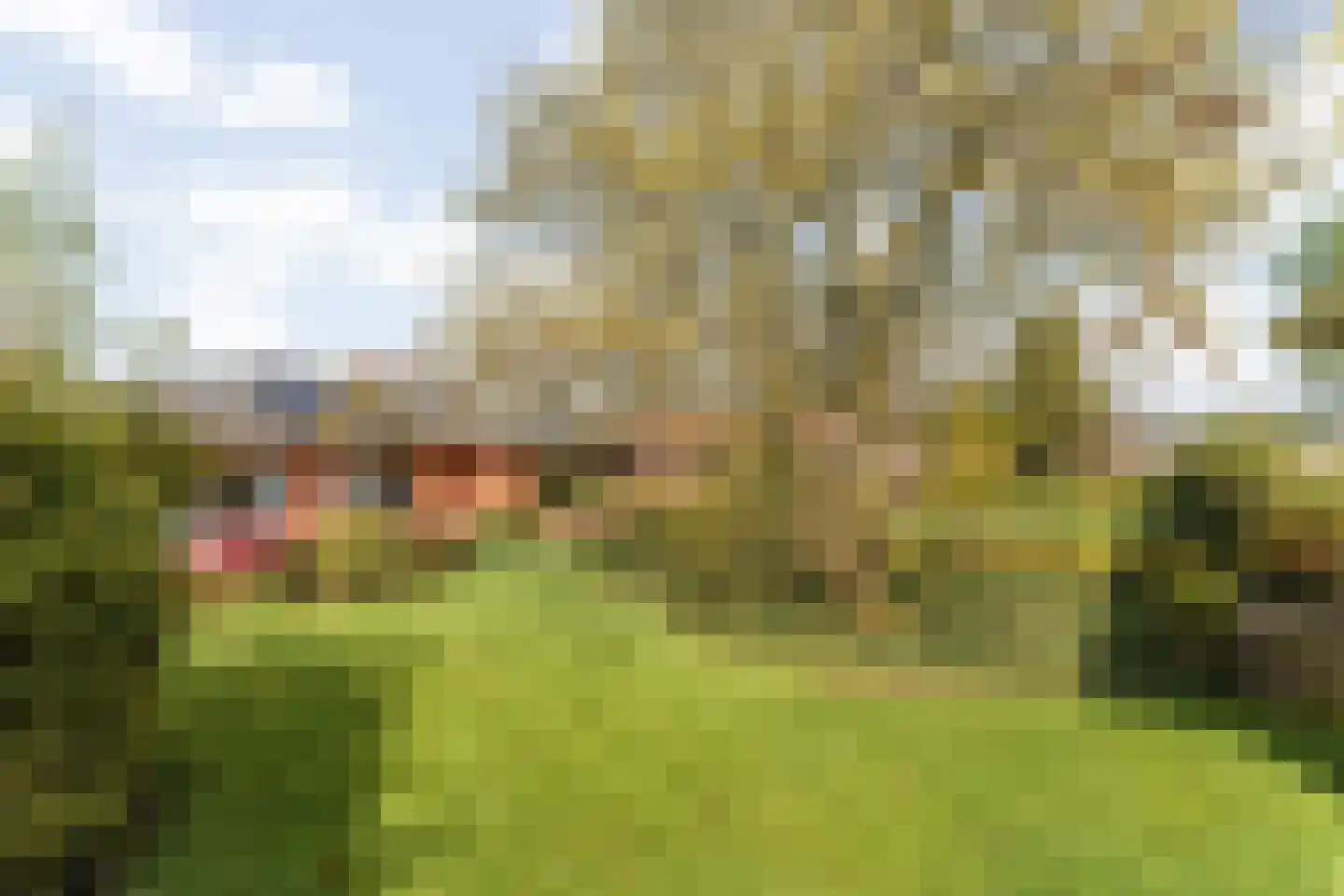 Moelingerweg 13 Eijsden thumbnail 20