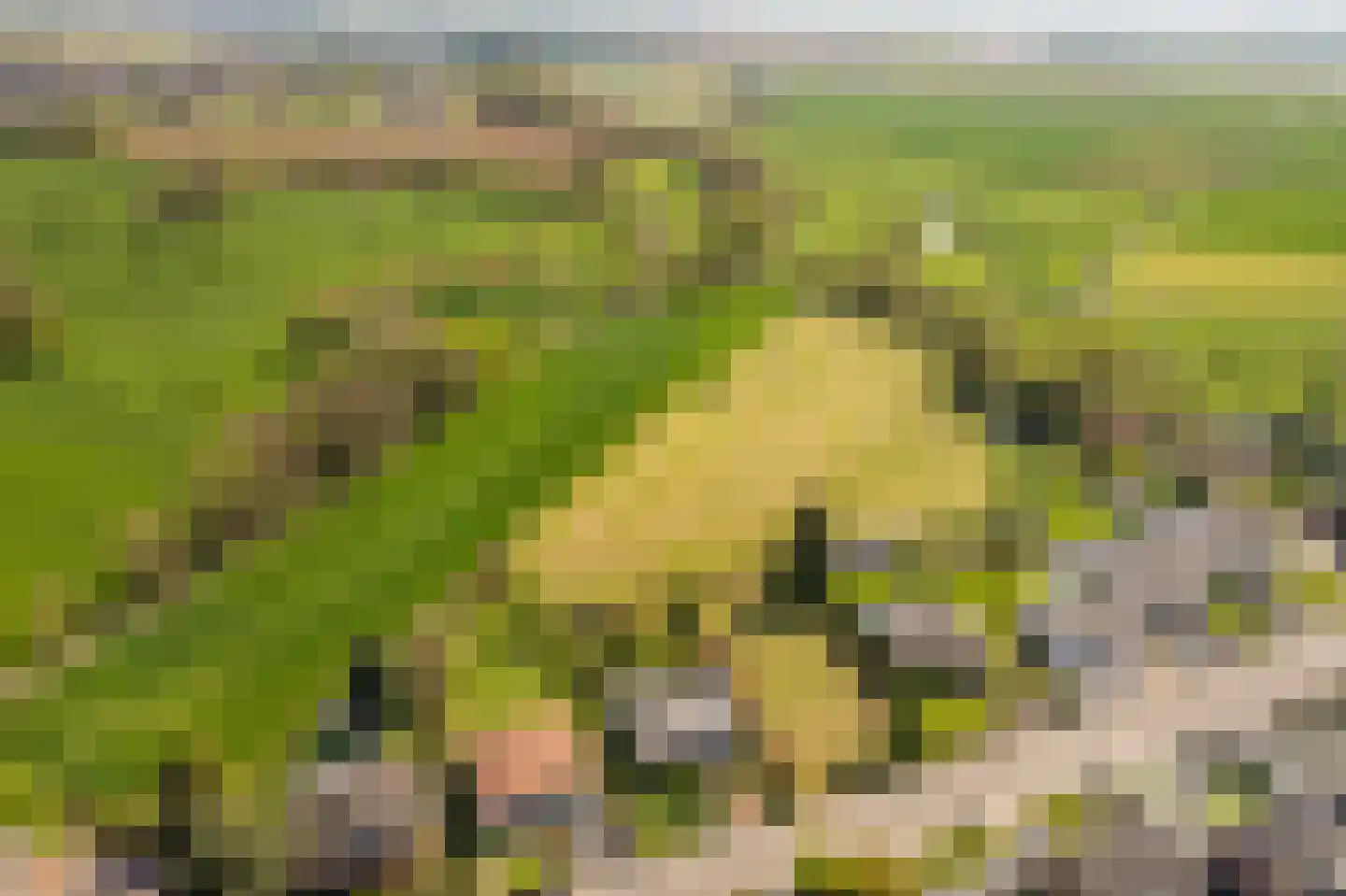 Moelingerweg 13 Eijsden thumbnail 24