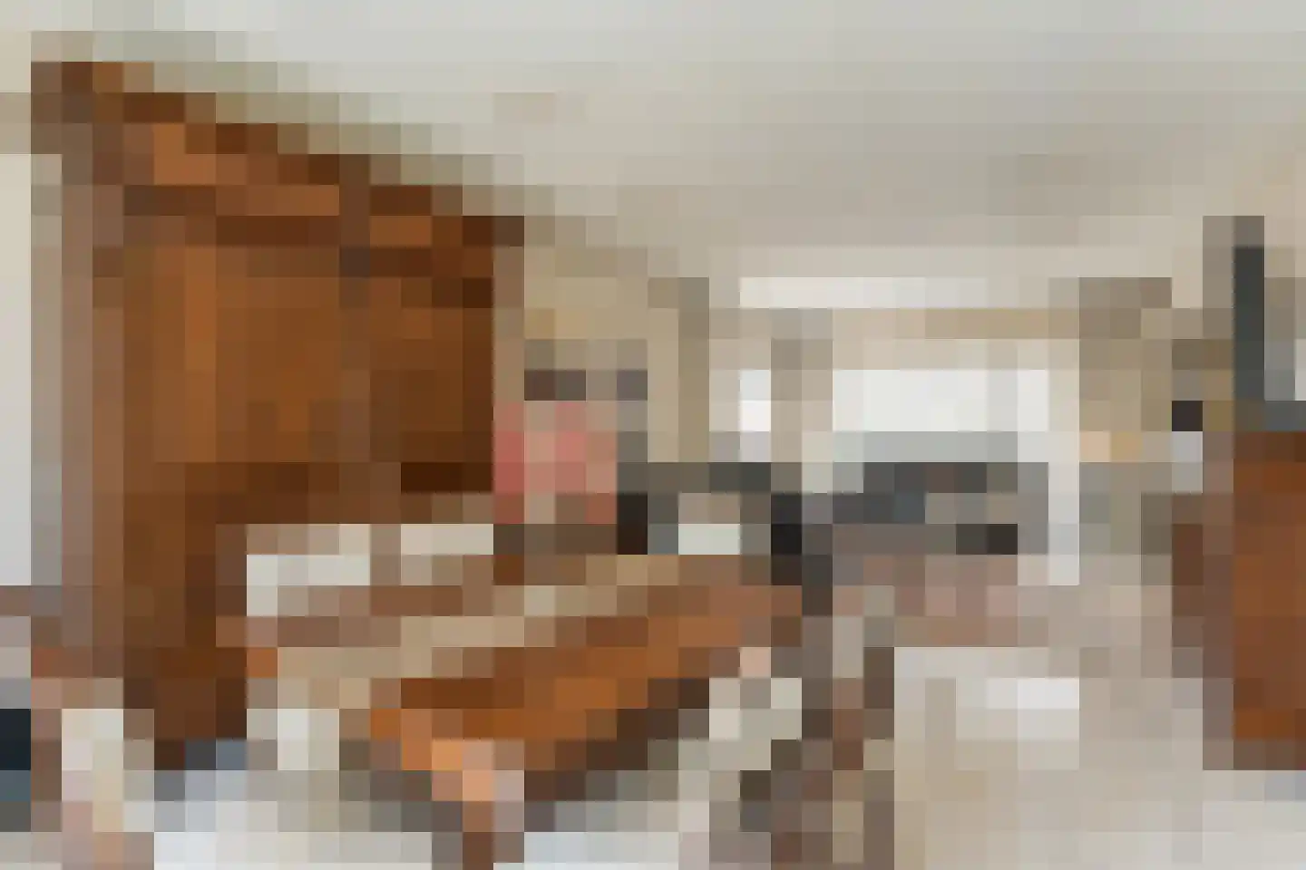 Moelingerweg 13 Eijsden thumbnail 7