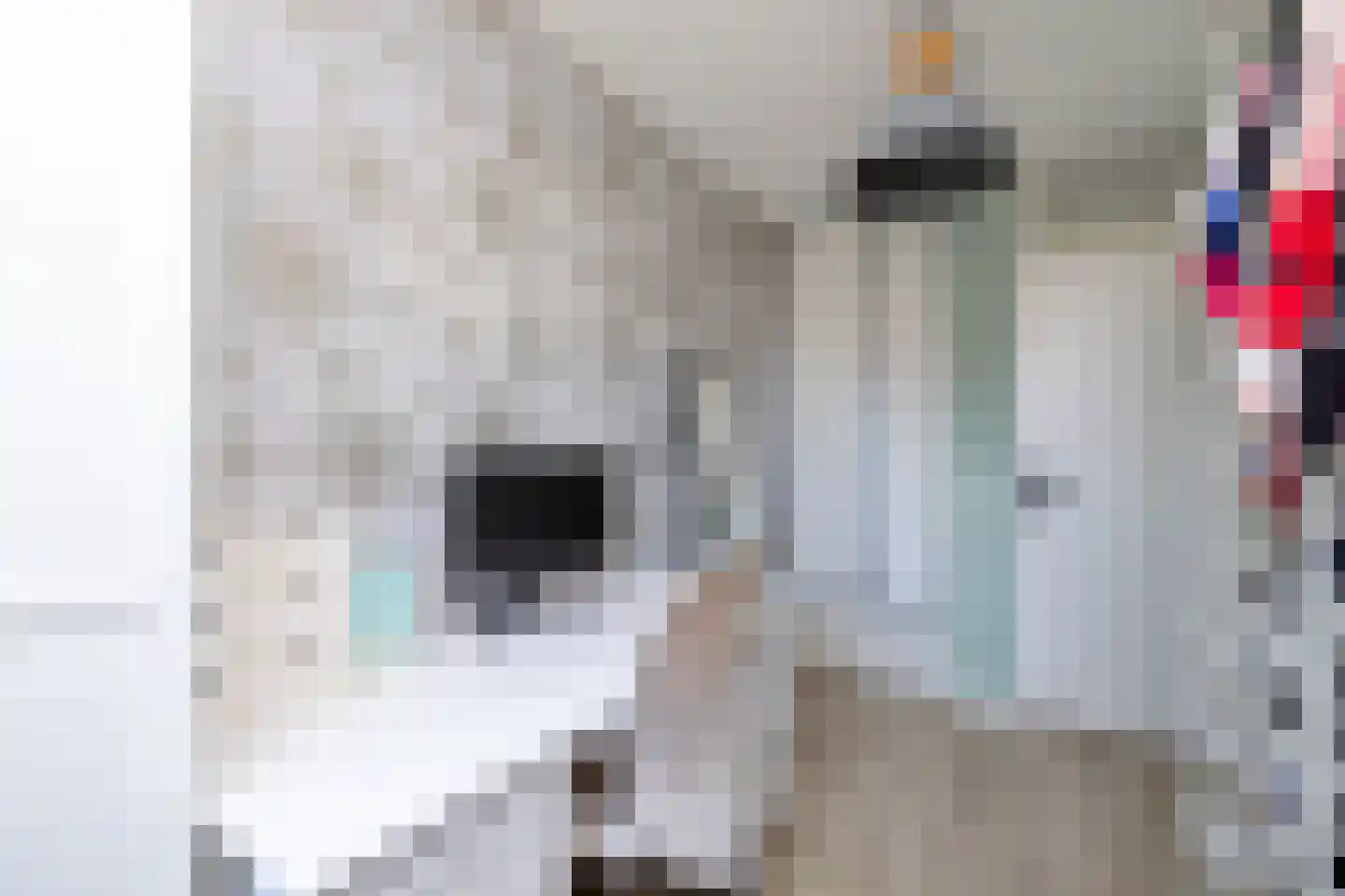 Moelnaerstraat 5 Hardinxveld-Giessendam thumbnail 29