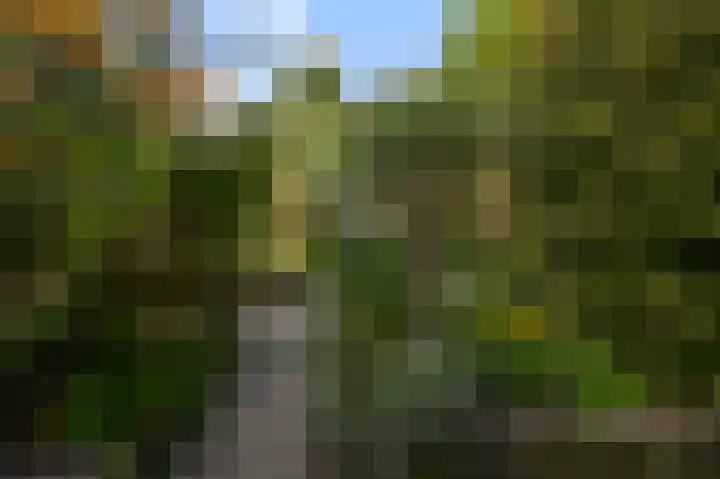 Moensplein 18 Beverwijk thumbnail 16