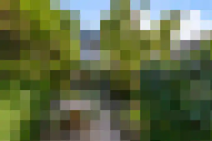 Moensplein 18 Beverwijk thumbnail 21