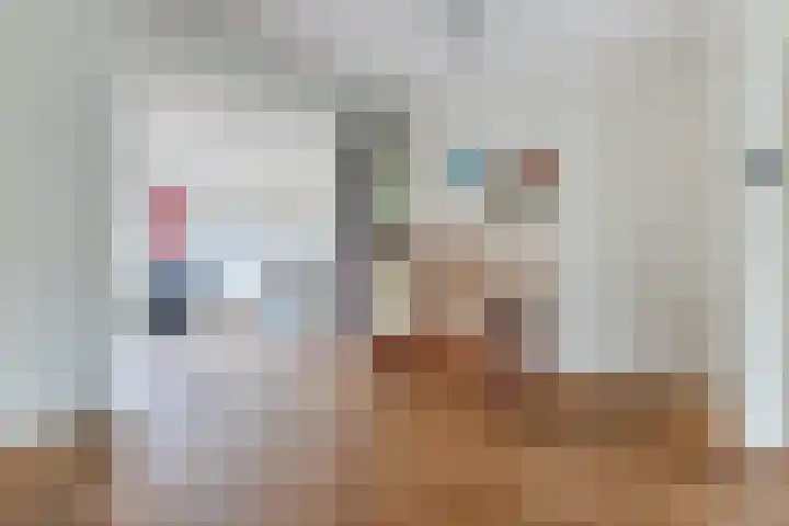 Moerasakker 1 Noord-Scharwoude thumbnail 11