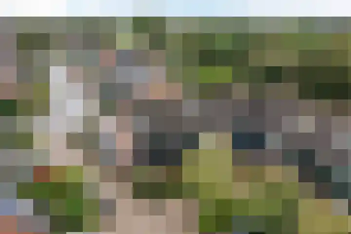 Moerasakker 1 Noord-Scharwoude thumbnail 4