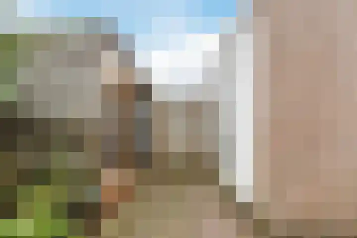 Moerasakker 1 Noord-Scharwoude thumbnail 41