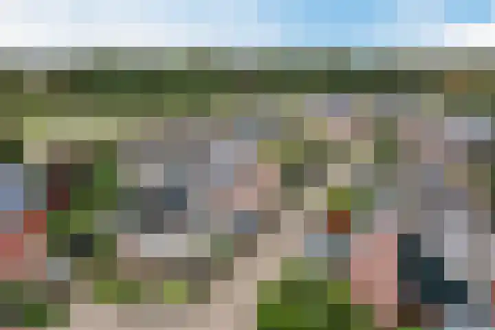 Moerasakker 1 Noord-Scharwoude thumbnail 44