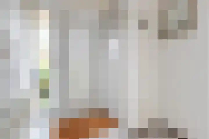 Moerasakker 1 Noord-Scharwoude thumbnail 6