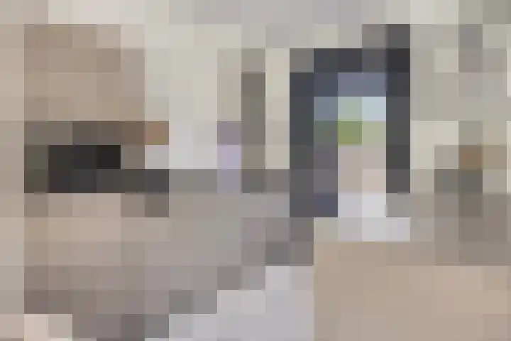 Moerasandijviestraat 20 Emmeloord thumbnail 11