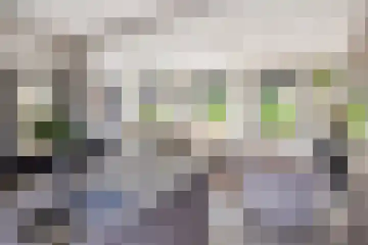 Moerasandijviestraat 20 Emmeloord thumbnail 12