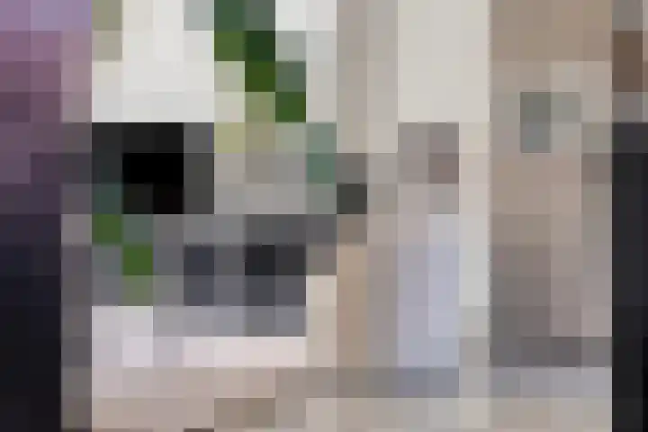 Moerasandijviestraat 20 Emmeloord thumbnail 16