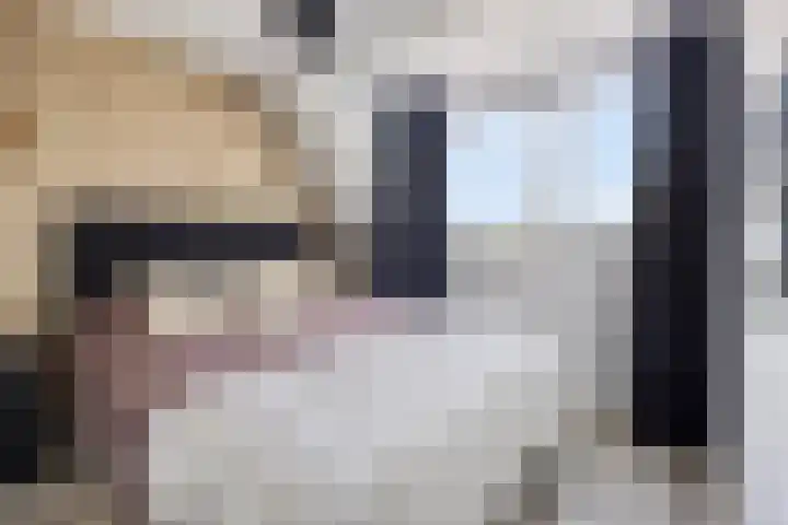 Moerasandijviestraat 20 Emmeloord thumbnail 22
