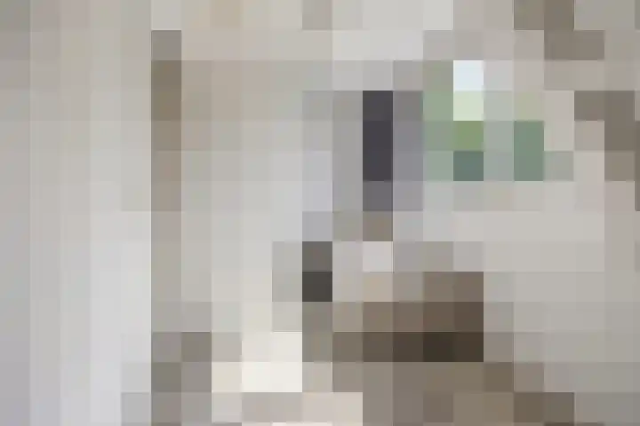 Moerasandijviestraat 20 Emmeloord thumbnail 28