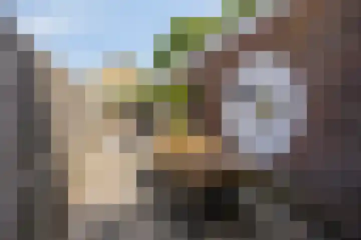 Moerasandijviestraat 20 Emmeloord thumbnail 31
