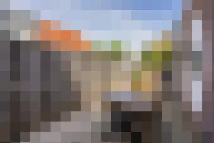 Moerasandijviestraat 20 Emmeloord thumbnail 32