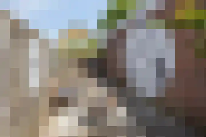 Moerasandijviestraat 20 Emmeloord thumbnail 33