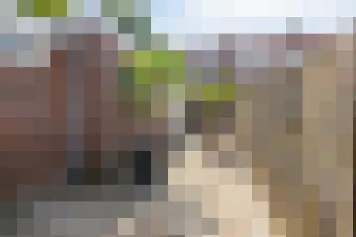 Moerasandijviestraat 20 Emmeloord thumbnail 35