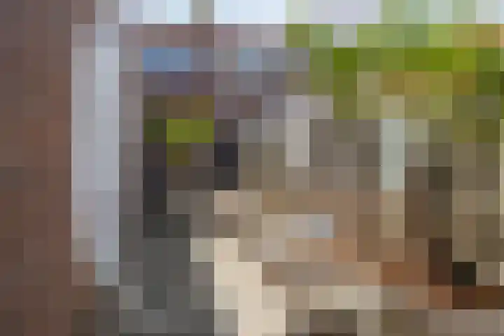 Moerasandijviestraat 20 Emmeloord thumbnail 36