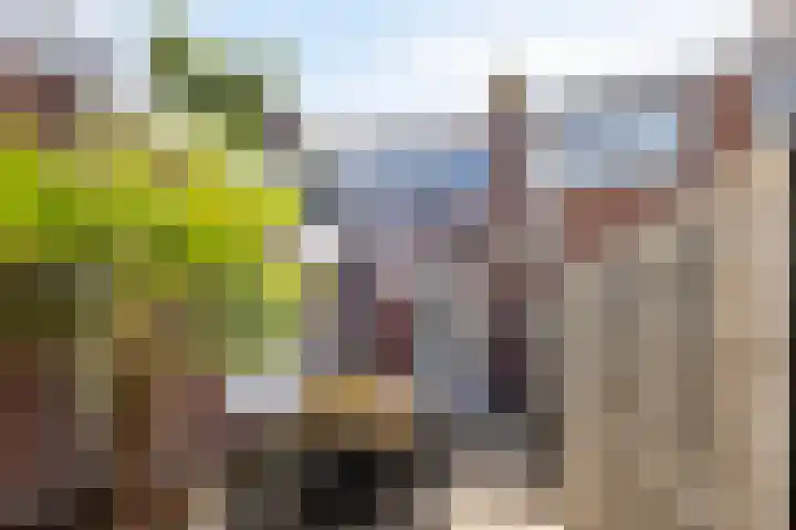 Moerasandijviestraat 20 Emmeloord thumbnail 37