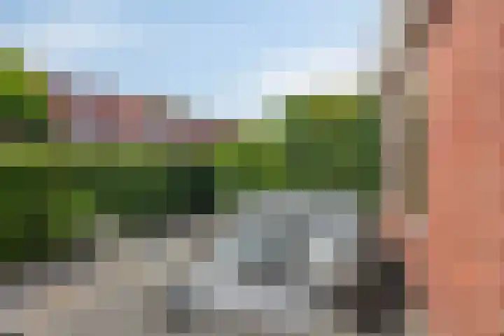Moerasandijviestraat 20 Emmeloord thumbnail 38