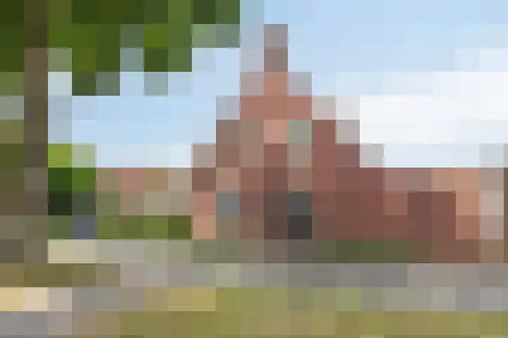 Moerasandijviestraat 20 Emmeloord thumbnail 4