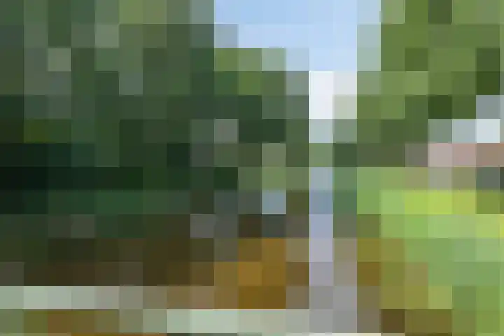 Moerasandijviestraat 20 Emmeloord thumbnail 41