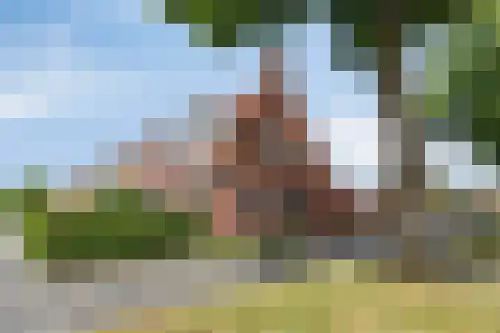 Moerasandijviestraat 20 Emmeloord thumbnail 46