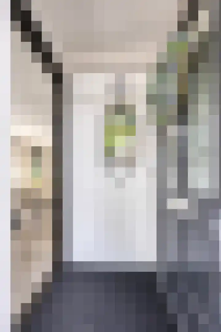 Moerasandijviestraat 20 Emmeloord thumbnail 5