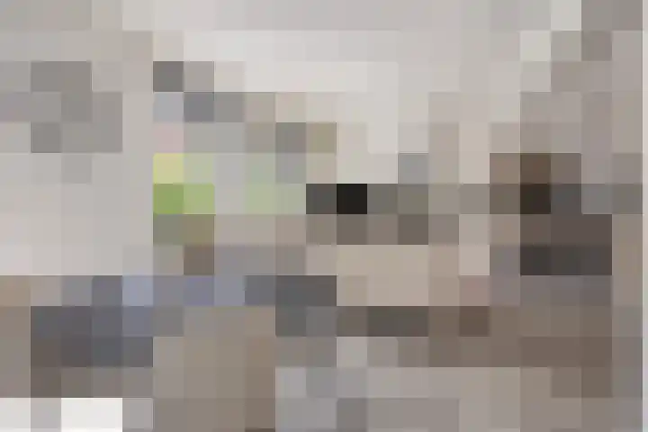 Moerasandijviestraat 20 Emmeloord thumbnail 6