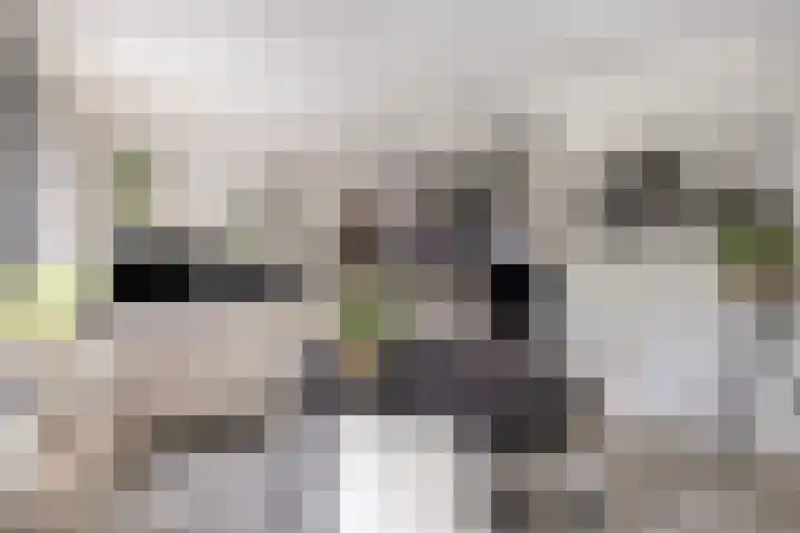 Moerasandijviestraat 20 Emmeloord thumbnail 7