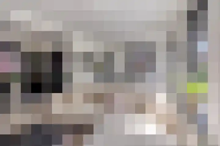 Moerasandijviestraat 20 Emmeloord thumbnail 8