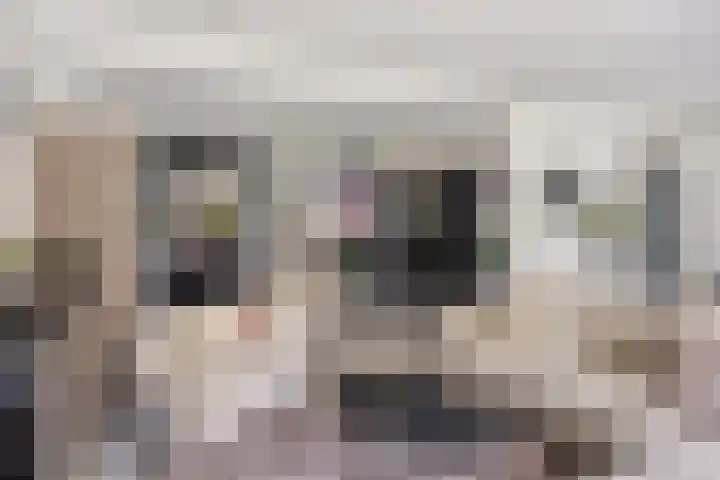 Moerasandijviestraat 20 Emmeloord thumbnail 9