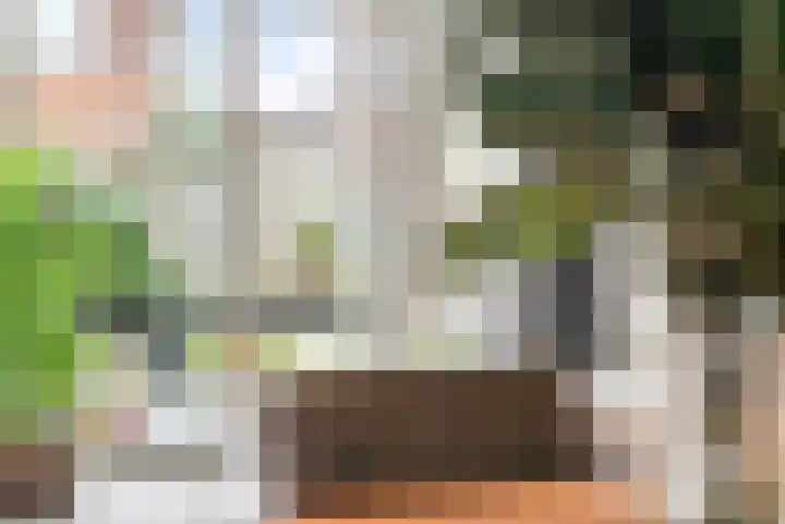 Moerasandoorn 1 's-Hertogenbosch thumbnail 12