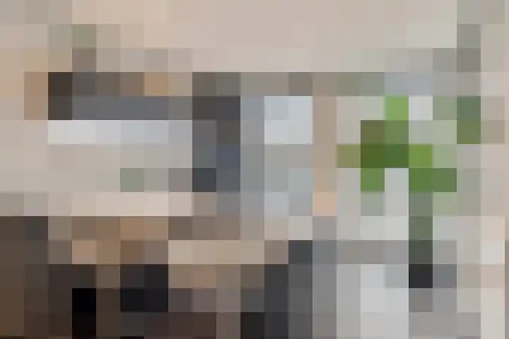 Moerasandoorn 1 's-Hertogenbosch thumbnail 19