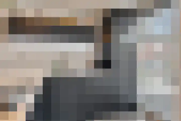 Moerasandoorn 1 's-Hertogenbosch thumbnail 21