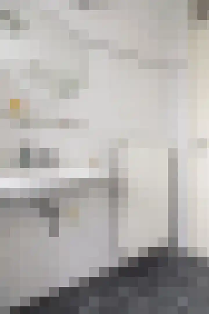 Moerasandoorn 1 's-Hertogenbosch thumbnail 35