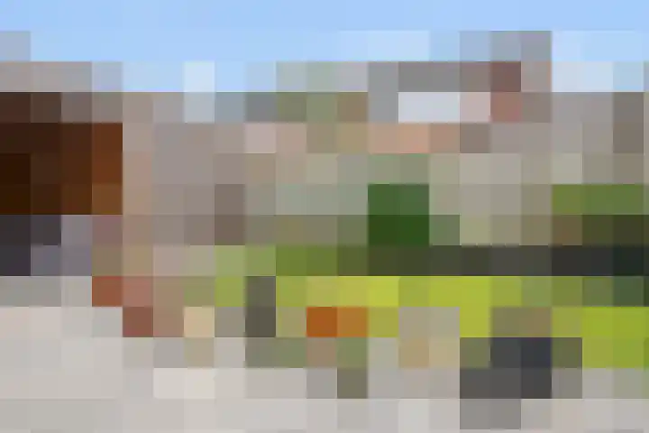 Moerasandoorn 1 's-Hertogenbosch thumbnail 39