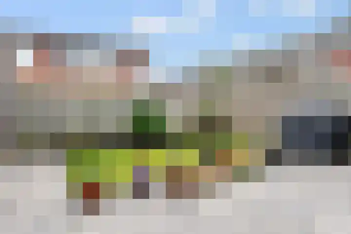 Moerasandoorn 1 's-Hertogenbosch thumbnail 40