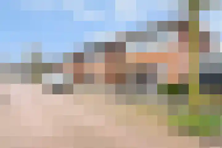 Moerasandoorn 1 's-Hertogenbosch thumbnail 43